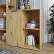 Тумба LION Краш 82x43x86 см (LION-044120) дуб артизан фото - Купити Комоди LION в епіцентрі меблів GerborDesign.com.ua