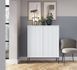 Комод високий Perfect Home Нова / Nova 2-дверний з чорними ніжками K104 білий фото 1 - меблі Комоди PERFECT HOME