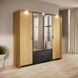 Шкаф для одежды Perfect Home Балтик / Baltic 4D2S/220 4-дверный с зеркалом Дуб балтийский/Черный фото 1 - мебель Шкафы PERFECT HOME