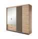 Шкаф полукупе Perfect Home Талли / Tally 4-дверный с зеркалом 4D2S/220 дуб артизан / антрацит фото 2 - мебель Шкафы PERFECT HOME