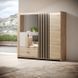 Шкаф полукупе Perfect Home Талли / Tally 4-дверный с зеркалом 4D2S/220 дуб артизан / антрацит фото 1 - мебель Шкафы PERFECT HOME